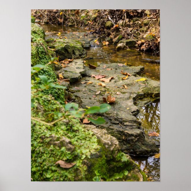 North Wears Creek Rock Bed Poster (Front)