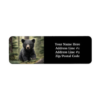 North Woods Little Black Bear Cub