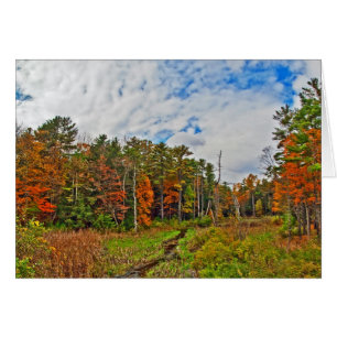 Northeast  Autumn