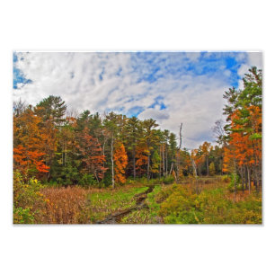 Northeast Autumn Scene Photo Print