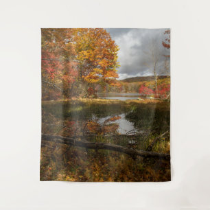 Northeast Autumn Tapestry