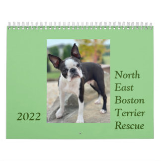 Northeast Boston Terrier Rescue 2022 Calendar