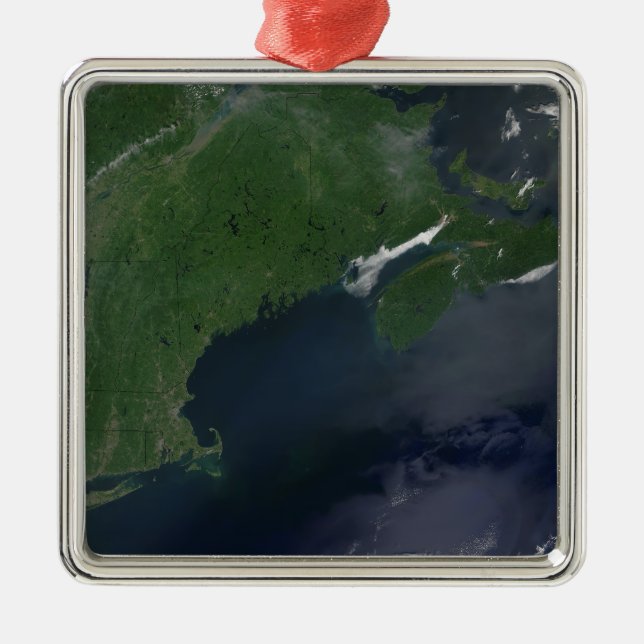 Northeast United States and Canada Metal Tree Decoration (Front)