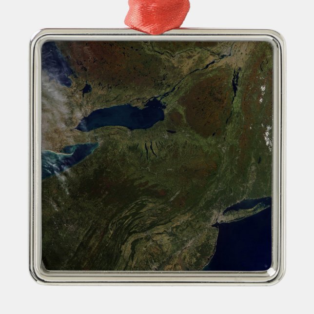 Northeast United States Metal Tree Decoration (Front)