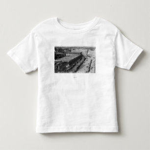 Northeast View of Main St from Baker Bldg Toddler T-Shirt