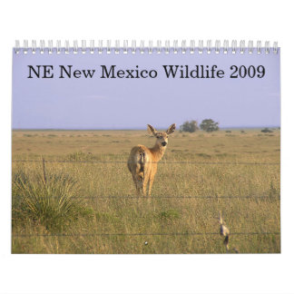 Northeastern New Mexico Wildlife 2009 Calendar