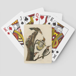Norther Flicker from Audubon's Birds of America  Playing Cards