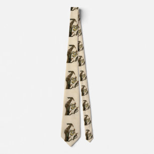 Norther Flicker from Audubon's Birds of America Tie