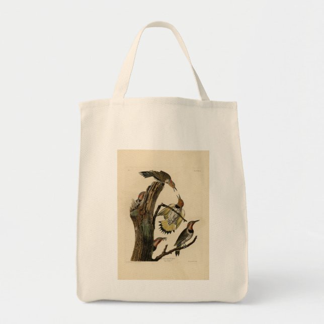 Norther Flicker from Audubon's Birds of America  Tote Bag (Front)