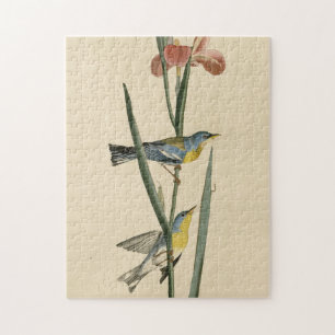Norther Parula from Audubon's Birds of America Jigsaw Puzzle