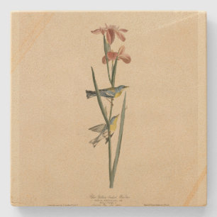 Norther Parula from Audubon's Birds of America Stone Coaster