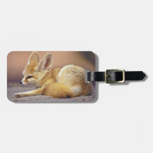 Northern Africa. Fennec Fennecus zerda) Luggage Tag