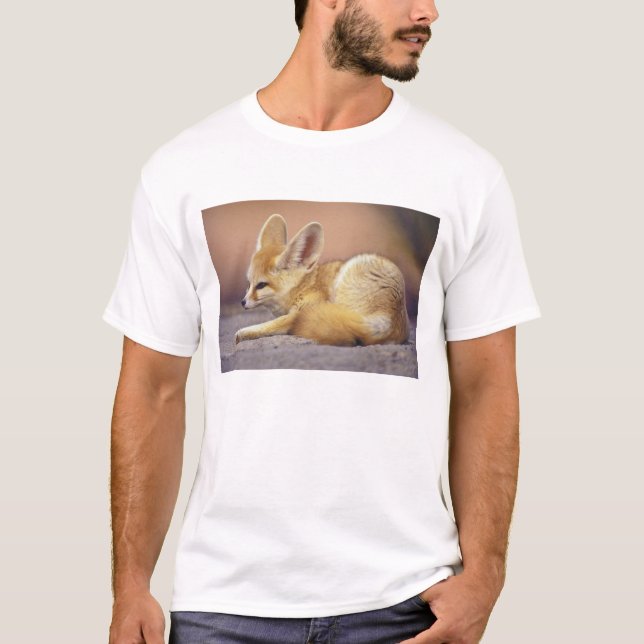Northern Africa. Fennec Fennecus zerda) T-Shirt (Front)