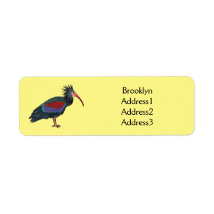 Northern bald ibis bird cartoon illustration