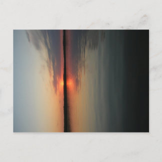 Northern Beauty Postcard