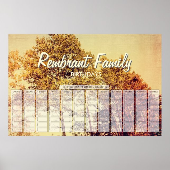 Northern Birch Trees Art Birthday Poster (Front)