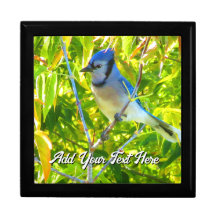 Northern Blue Jay Birds Custom Image Text