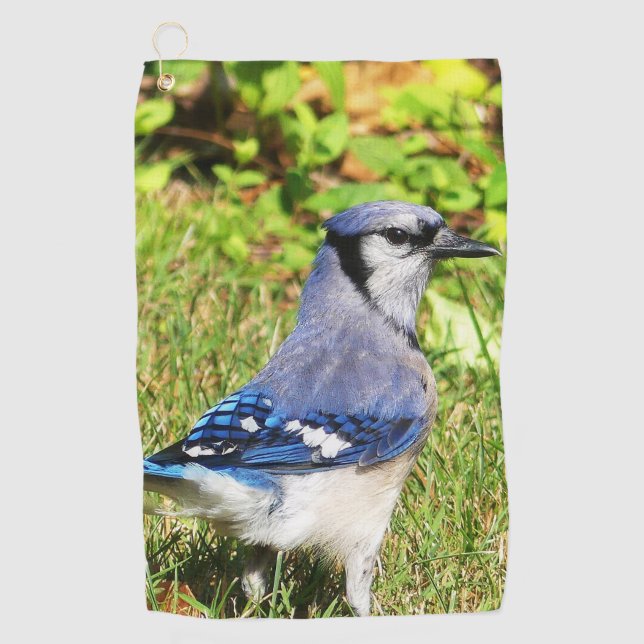 Northern Blue Jay Golf Towel (Front)
