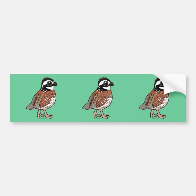 Northern Bobwhite Bumper Sticker (Front)
