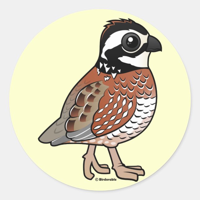Northern Bobwhite Classic Round Sticker (Front)