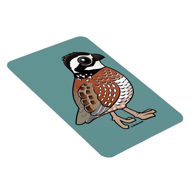 Northern Bobwhite Magnet (Right Side)