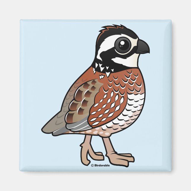 Northern Bobwhite Magnet (Front)