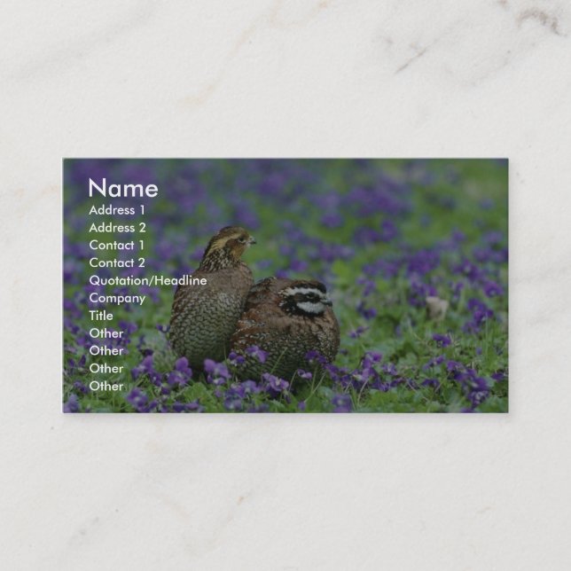 Northern bobwhite quail business card (Front)