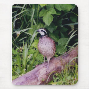 Northern Bobwhite Quail Mouse Mat