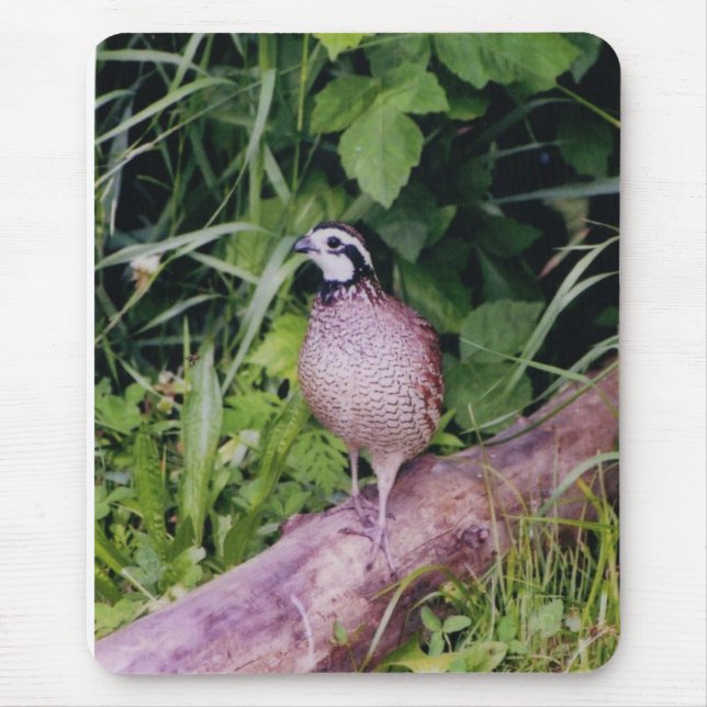 Northern Bobwhite Quail Mouse Mat (Front)