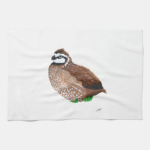 Northern Bobwhite