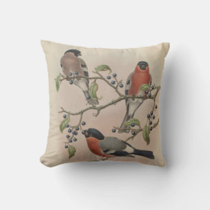 Northern Bullfinch by John Gould Cushion