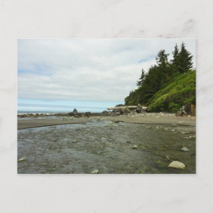 Northern California Coastline from Redwood Park Postcard