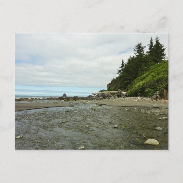 Northern California Coastline from Redwood Park Postcard (Front)