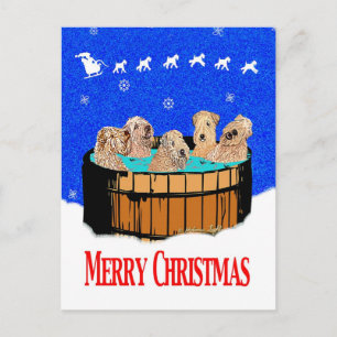 NORTHERN CALIFORNIA MERRY CHRISTMAS HOLIDAY POSTCARD