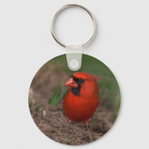 Northern Cardinal 2 Key Ring