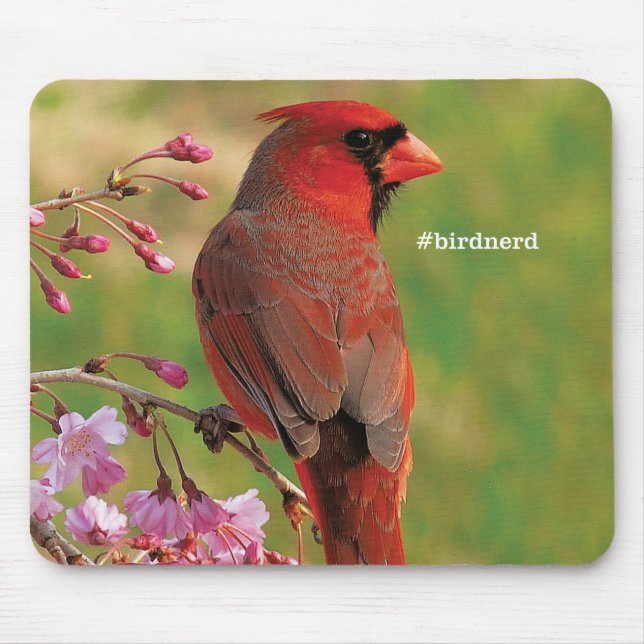 Northern Cardinal 2 Mouse Mat (Front)