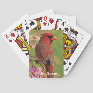 Northern Cardinal 2 Playing Cards