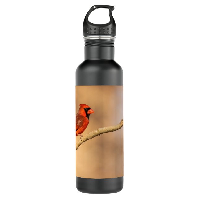 Northern Cardinal  710 Ml Water Bottle (Front)