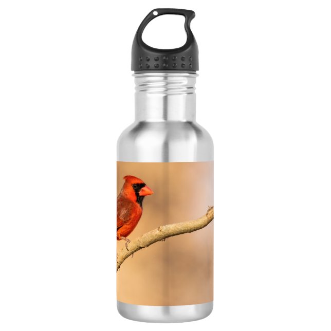 Northern Cardinal  710 Ml Water Bottle (Front)