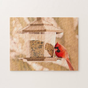 Northern Cardinal and Birdfeeder - Puzzle