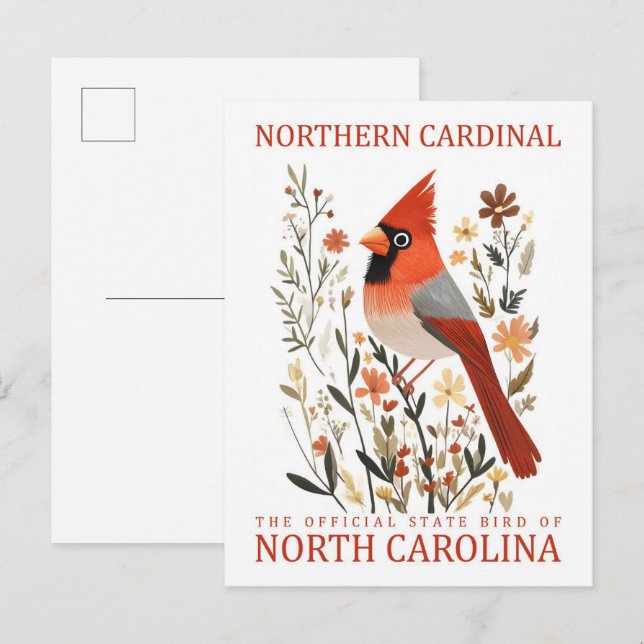 Northern Cardinal Bird of North Carolina USA Postcard (Front/Back)