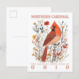 Northern Cardinal Bird of Ohio USA Postcard