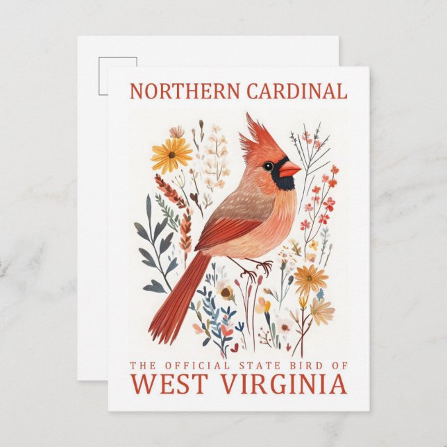 Northern Cardinal Bird of West Virginia Travel Postcard (Front/Back)