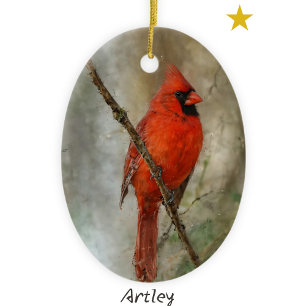 Northern Cardinal Bird Painting Year Christmas Ceramic Tree Decoration