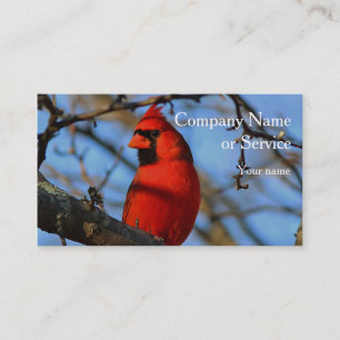 Northern cardinal business card