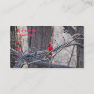 Northern Cardinal- business card template