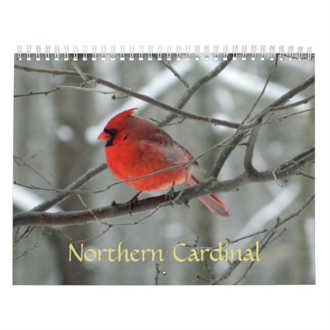 Northern Cardinal Calendar (Cover)