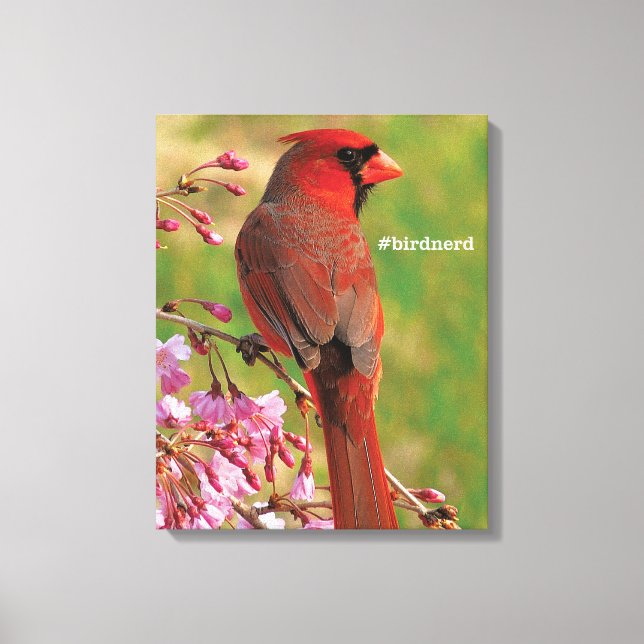 Northern Cardinal Canvas Print (Front)