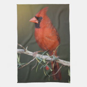 Northern Cardinal, Cardinalis cardinalis, male Tea Towel