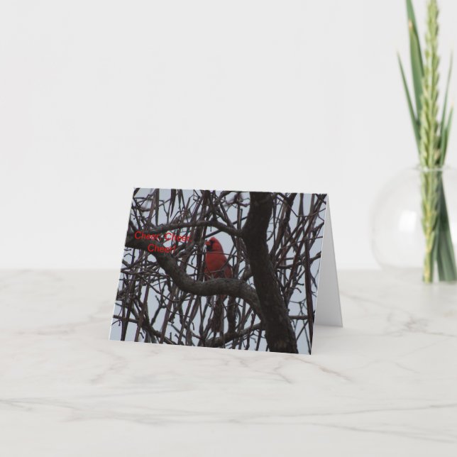 Northern Cardinal, Cheer, Cheer, Cheer Card (Front)